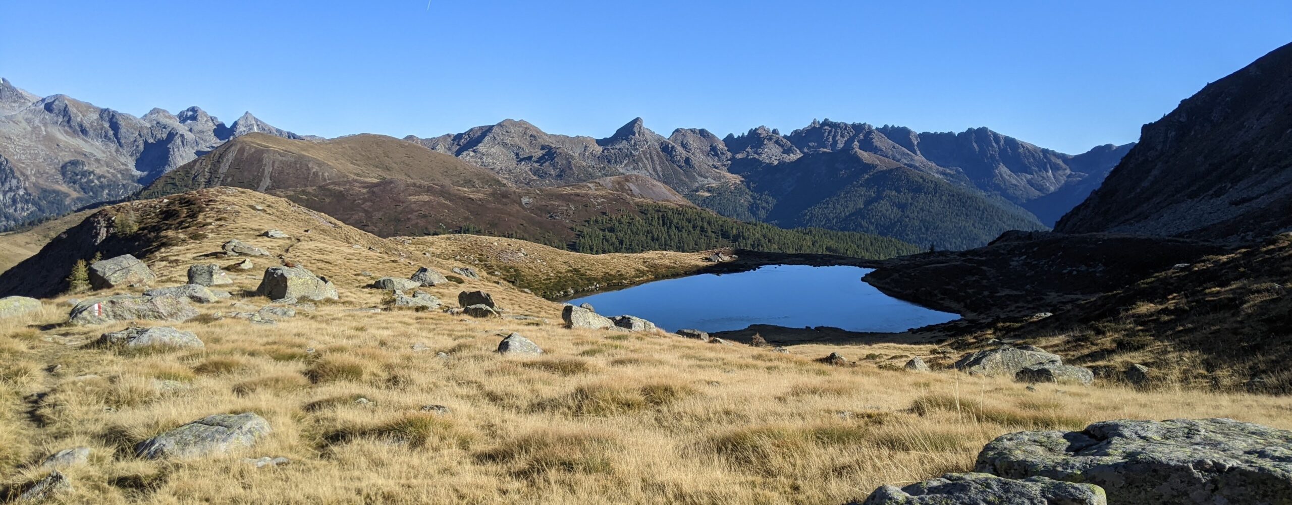 Scarpe da corsa in montagna